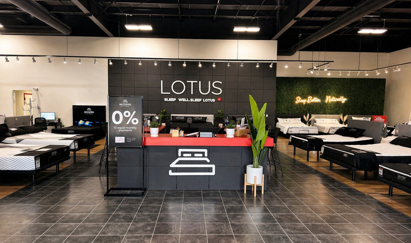 Modern Mattress Saskatoon showroom interior