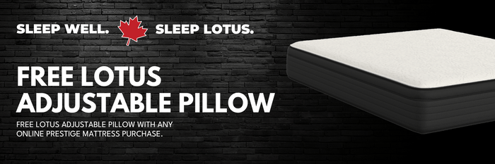 LOTUS Arctic Ice Pillows