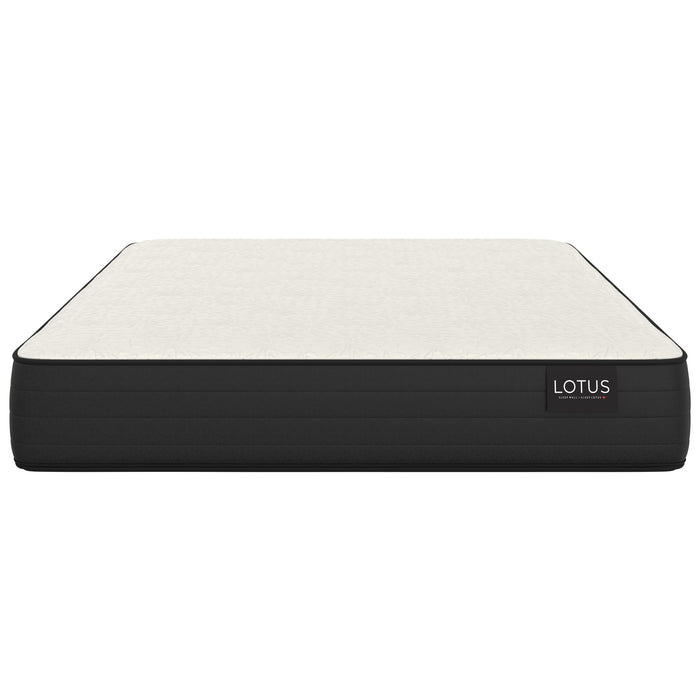 LOTUS Prestige Edge Aliee TT Firm Mattress