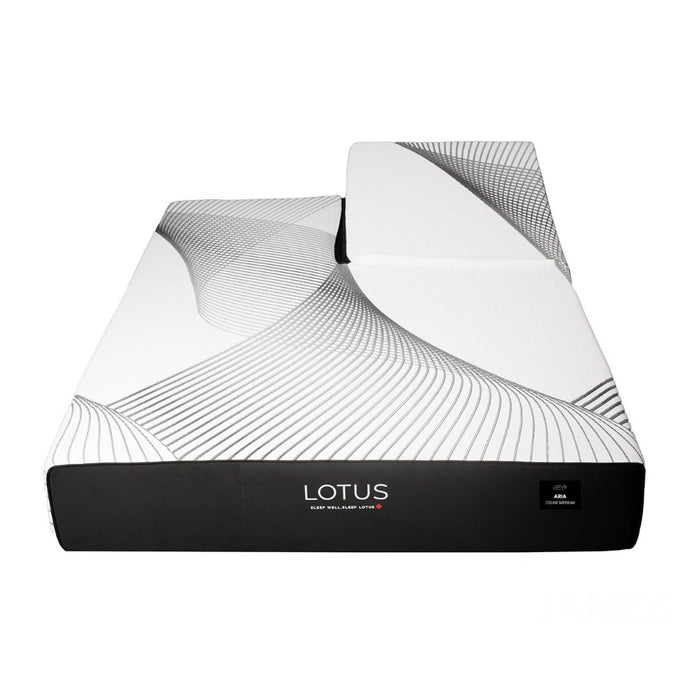 LOTUS Aria 11" Terra Firm Mattress