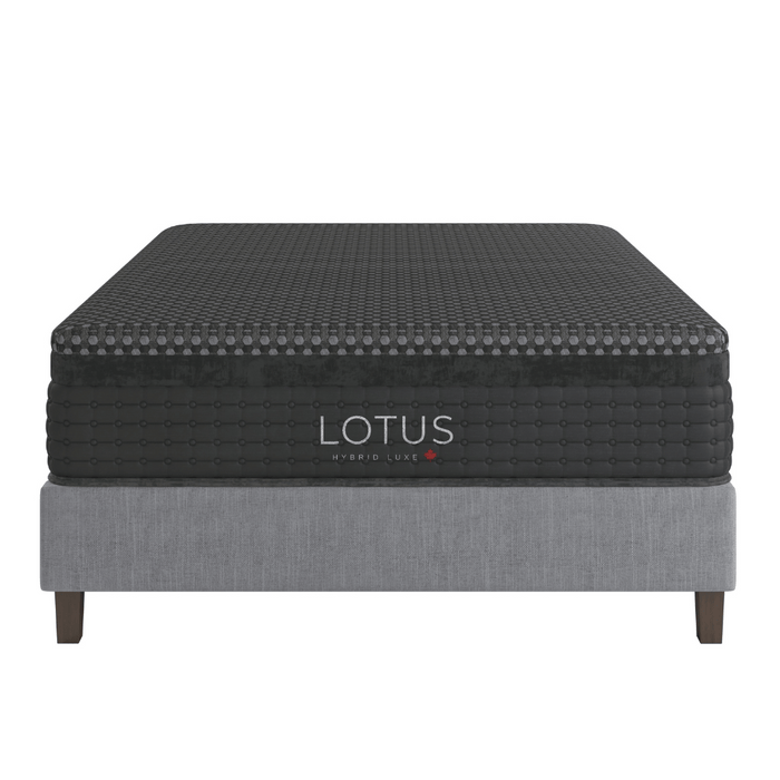 LOTUS Hybrid Luxe 2.0 Luxury Medium Mattress