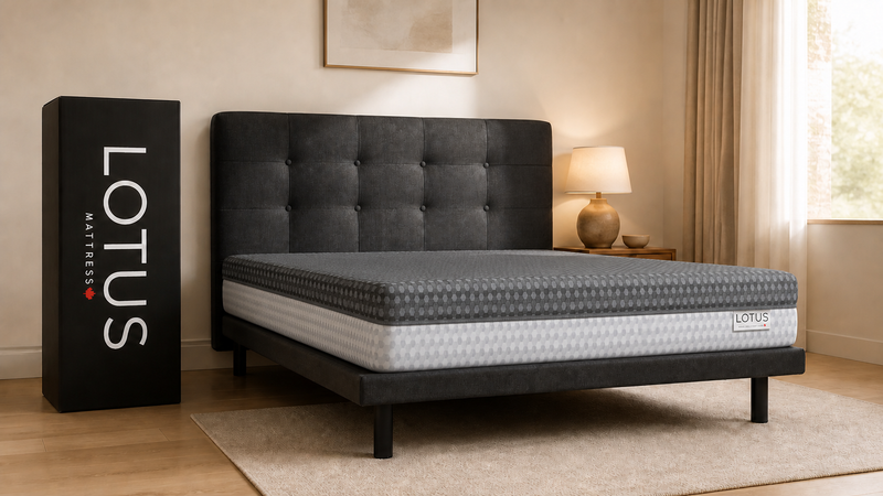 Lotus Aurora 12 inch mattress on a dark upholstered bed in a bedroom, Lotus box beside it