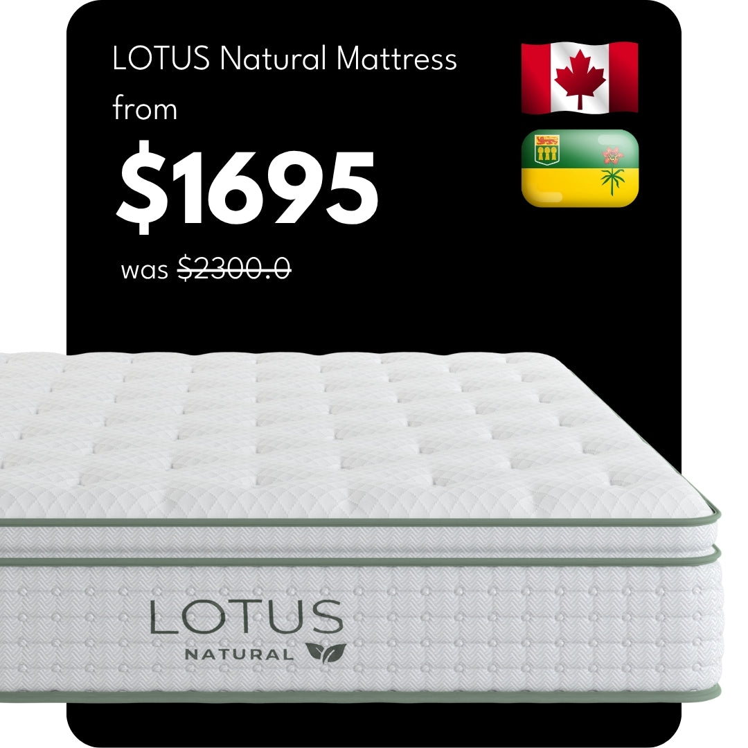The Lotus Natural Mattress Collection