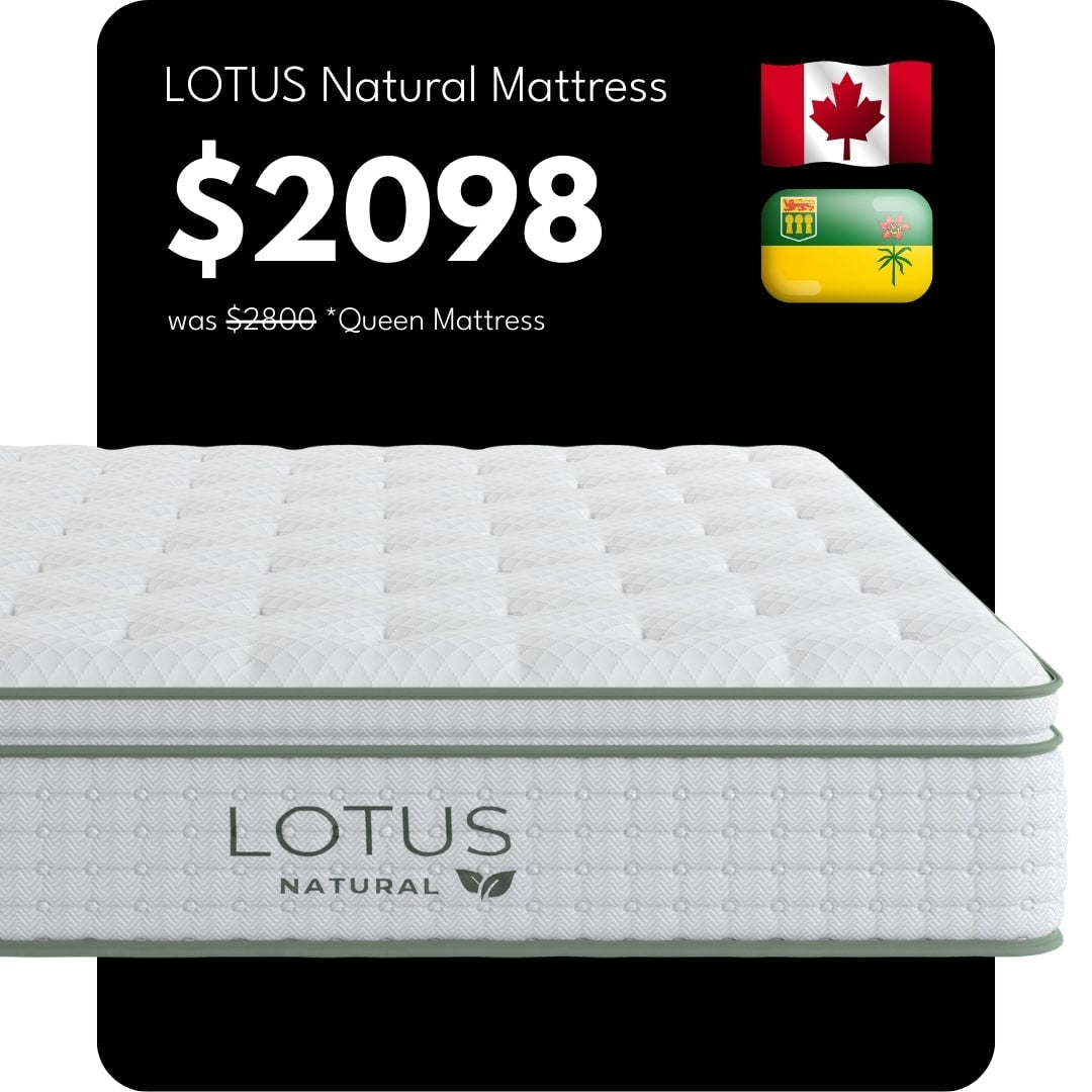 The Lotus Natural Mattress Collection