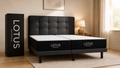 Two Lotus Original 10 inch Twin XL mattresses side by side as a split king
