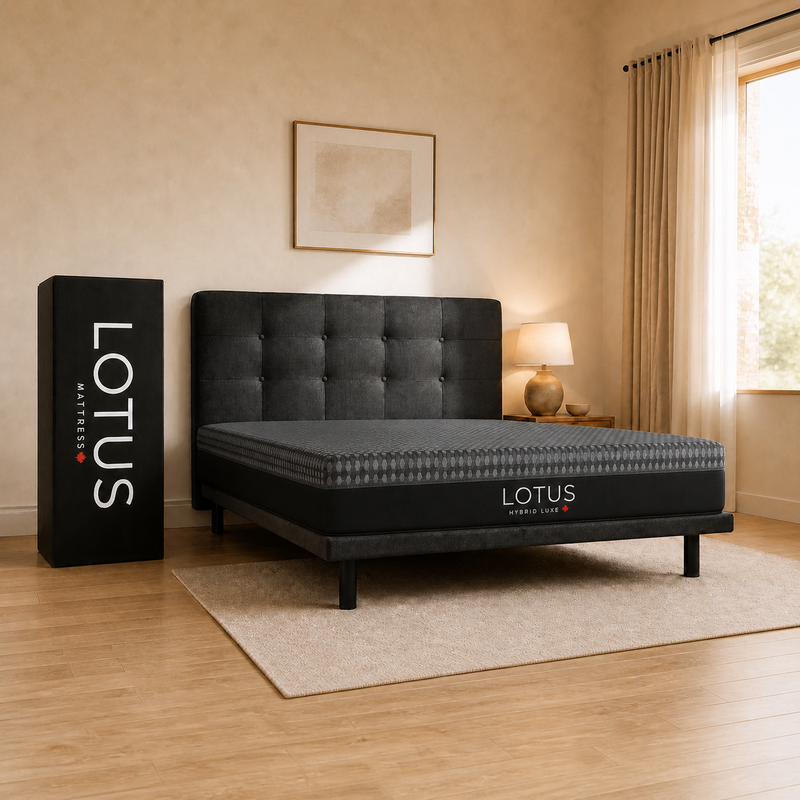 Lotus 12 inch clearance mattress on a dark upholstered bed in a bedroom, Lotus box beside it