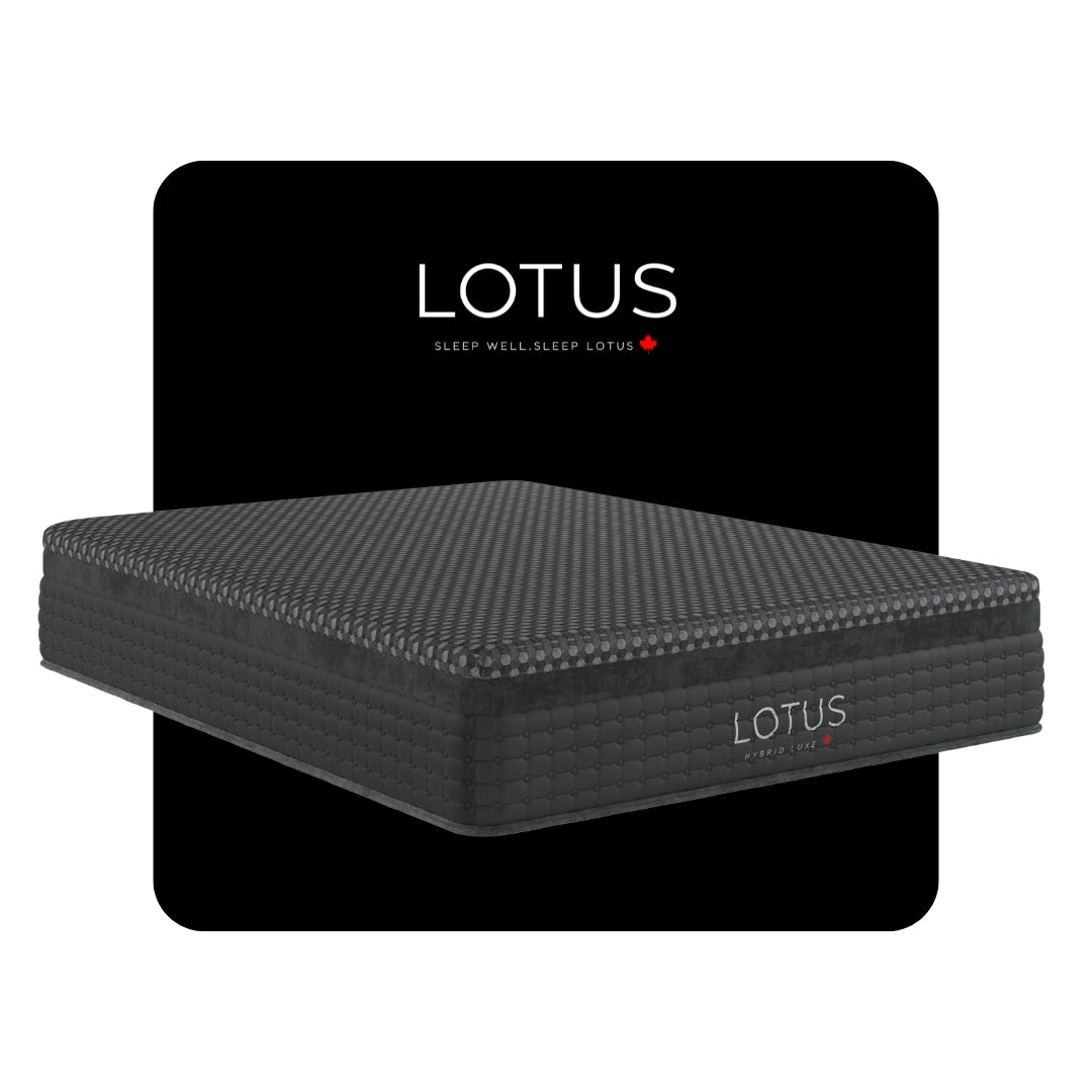 LOTUS HYBRID LUXE