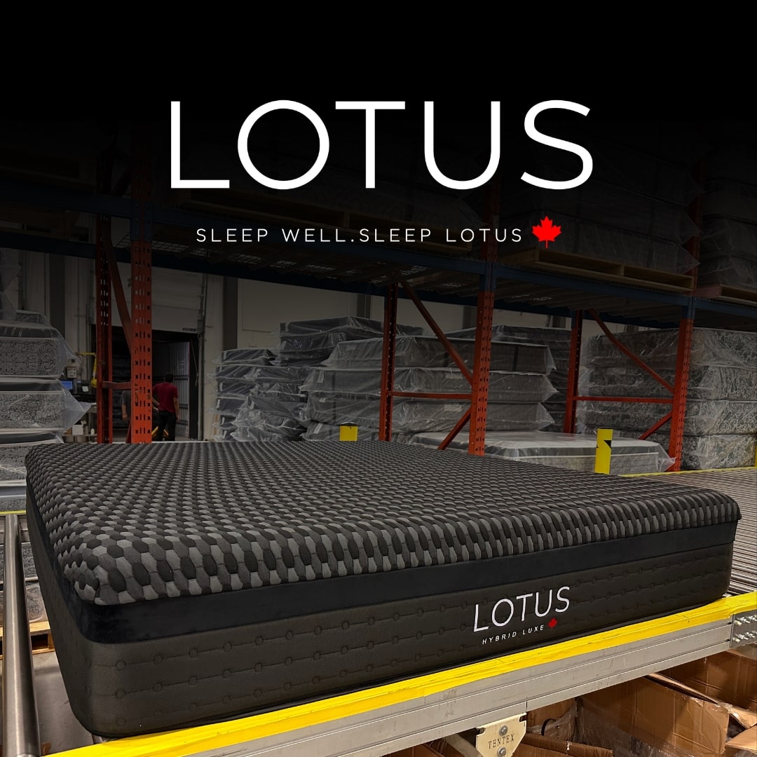 Introducing Lotus — Designed by Us, For You