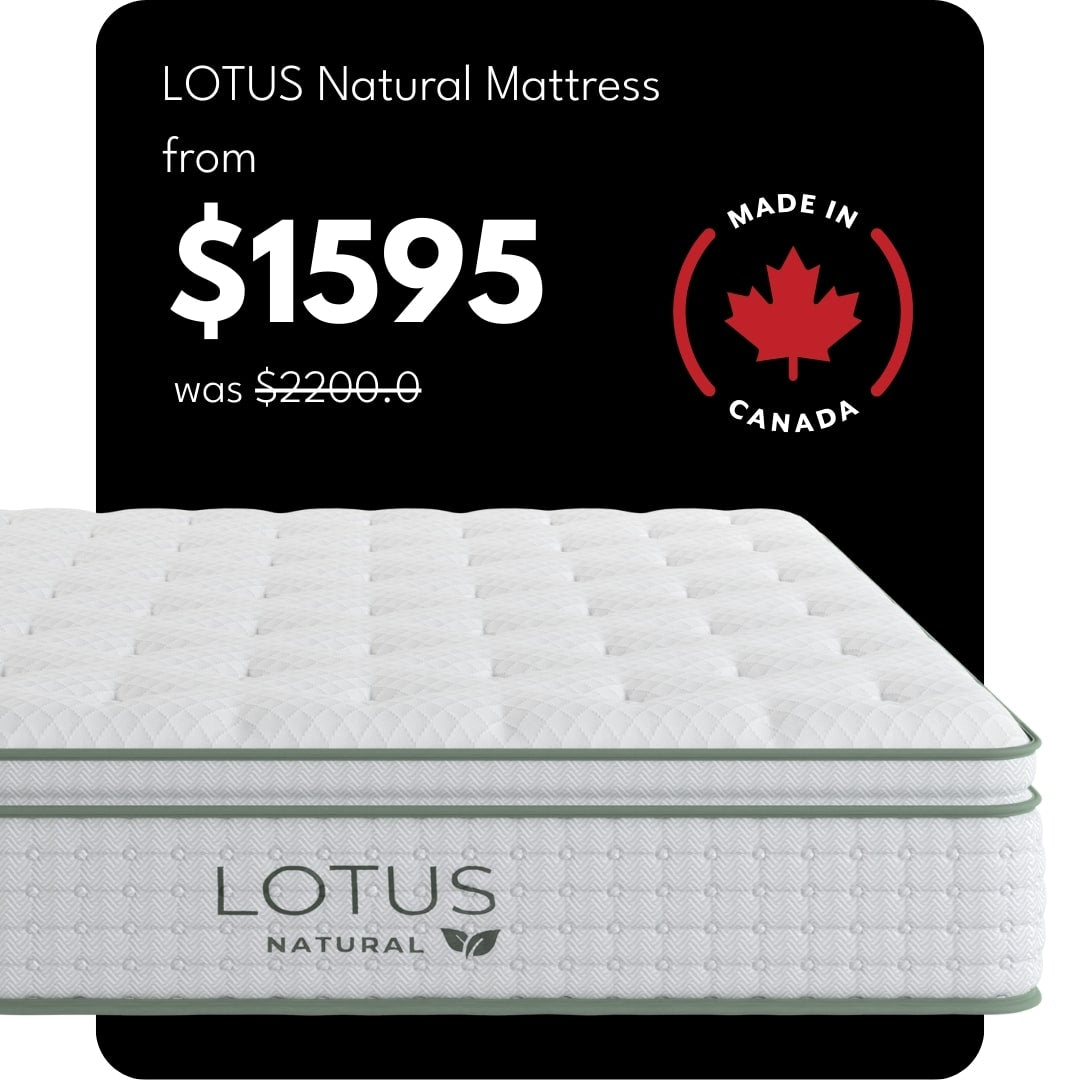 The Lotus Natural Mattress Collection