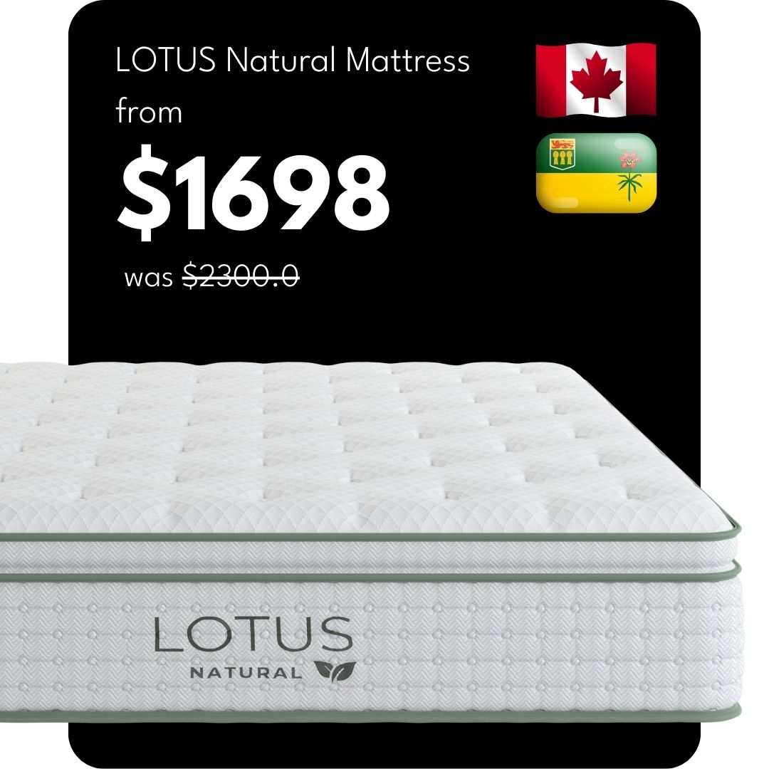 The Lotus Natural Mattress Collection