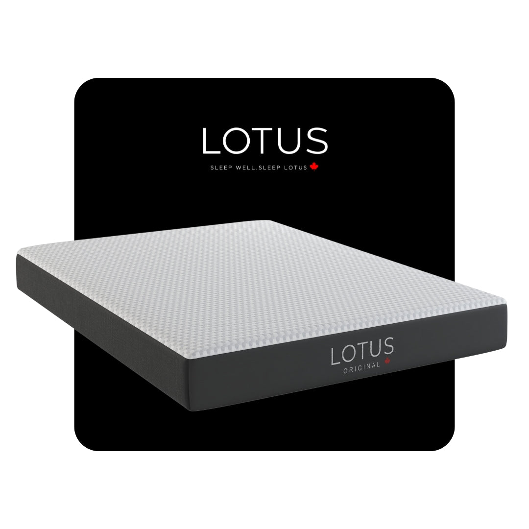 LOTUS ORIGINAL