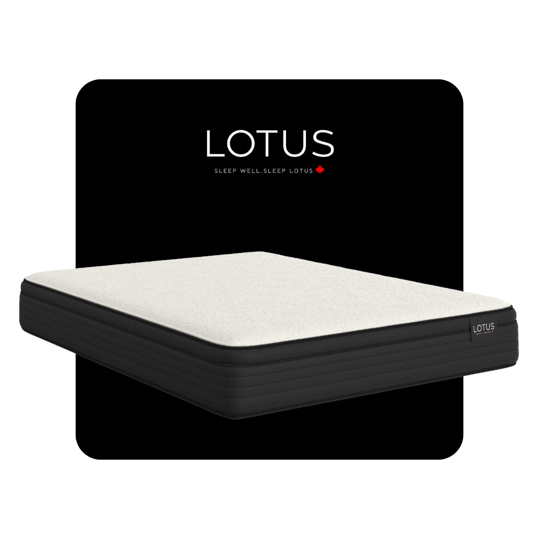 LOTUS PRESTIGE