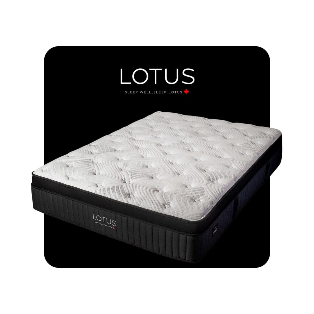 LOTUS SIGNATURE