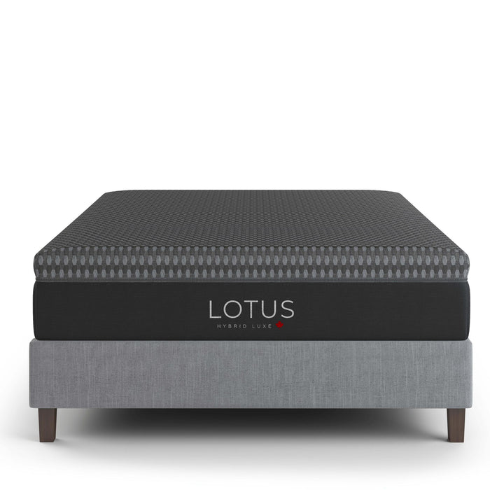 LOTUS 12" Hybrid Luxe Mattress