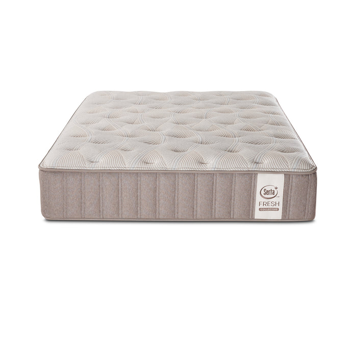 Serta Palm TT Firm Mattress