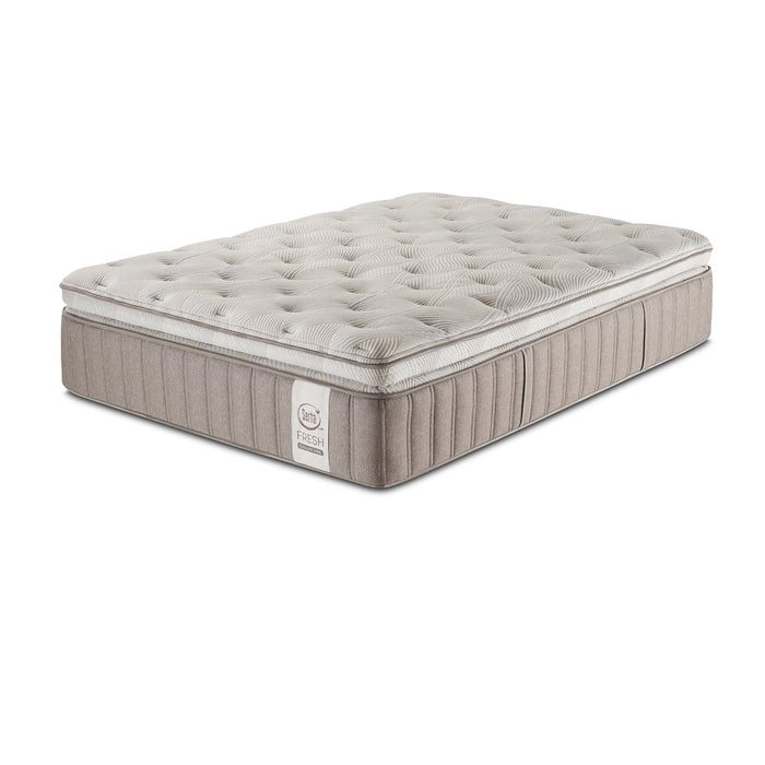 Serta Panorama SPT Plush Mattress