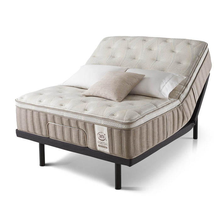 Serta Paypryus PT Medium Mattress