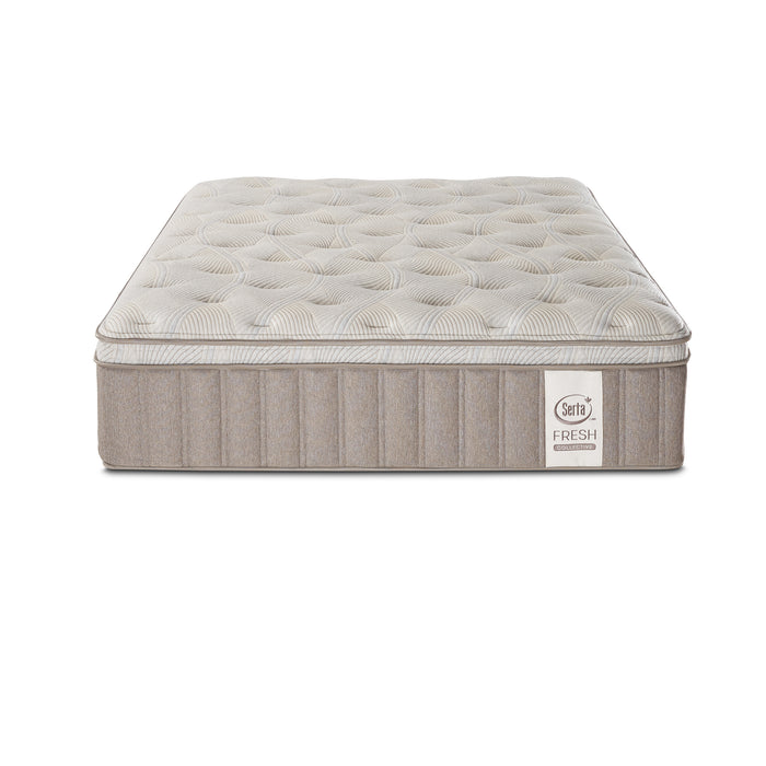 Serta Paypryus PT Medium Mattress
