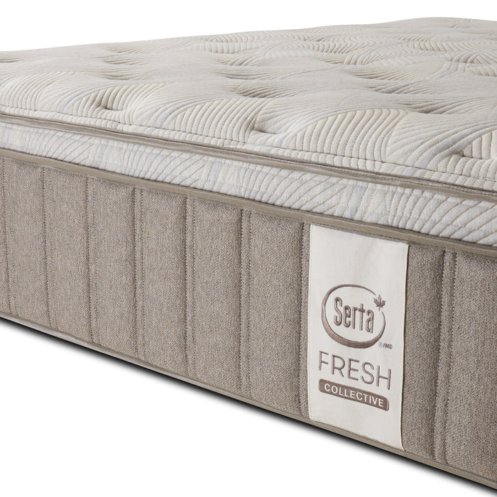 Serta Paypryus PT Medium Mattress