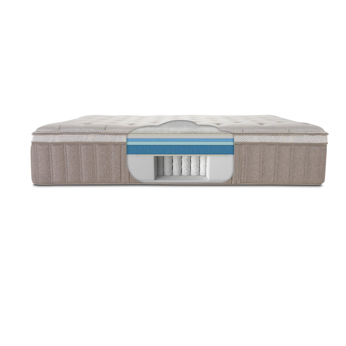 Serta Paypryus PT Medium Mattress