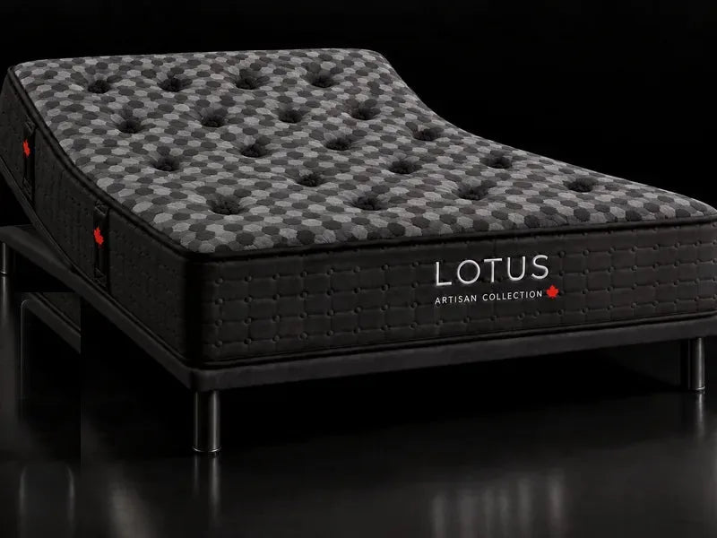 Plus Adjustable Base