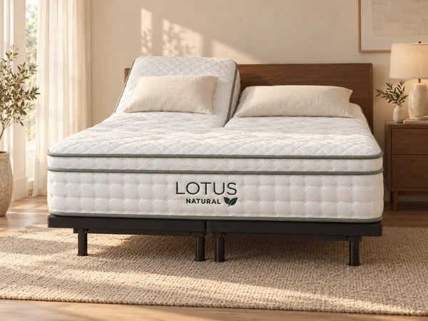 Lotus Natural mattress on its own