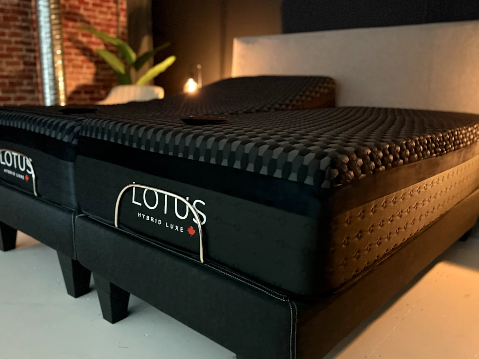 The foot end of a Lotus Hybrid Luxe on an adjustable base, LOTUS framed by its silver handle on black velvet, with the charcoal knit top